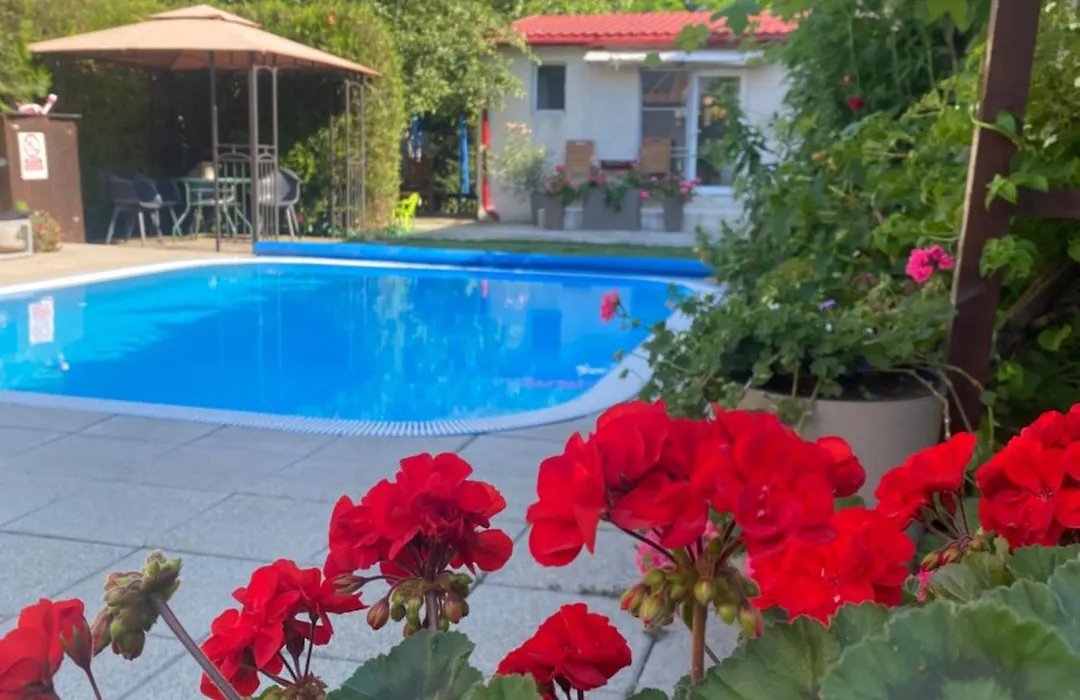 Casa Mateiana-1